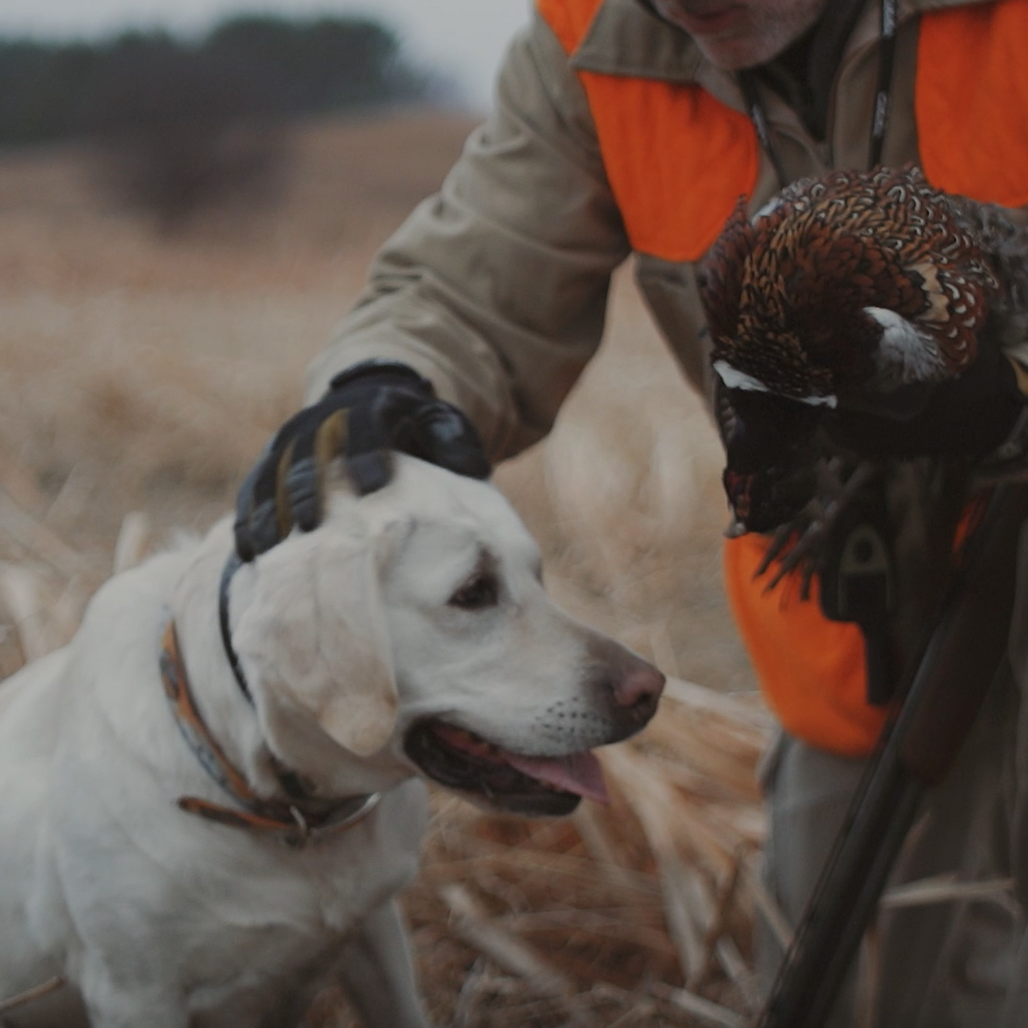 Hunting Gloves